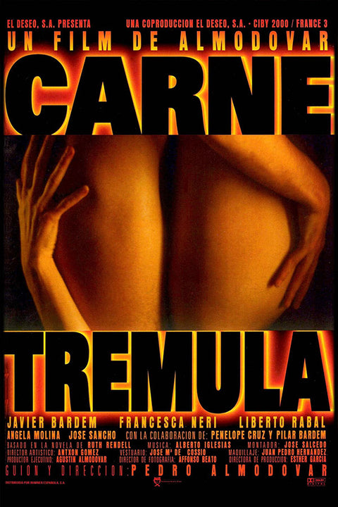 Poster Carne Trêmula - Almodovar - Filmes