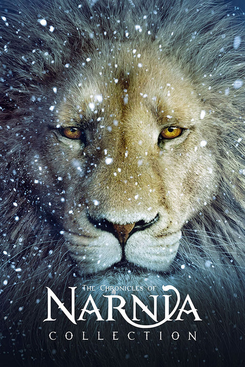Poster Narnia - Filmes