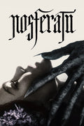 Poster Nosferatu - Terror - Filmes