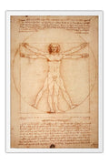 Poster  Homem Vitruviano Leonardo da Vinci - Obras de Arte