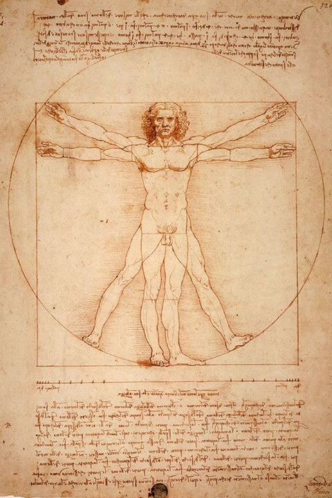 Poster  Homem Vitruviano Leonardo da Vinci - Obras de Arte