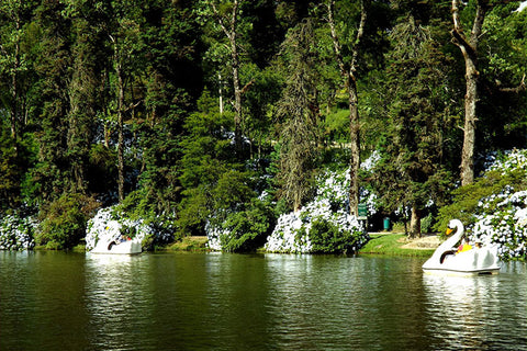 Poster Lago Negro - Paisagens Nacionais - Fotografia - Lugares - Paisagens