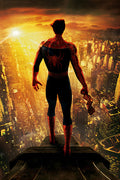 Poster Homem Aranha - Spider Man - Filmes