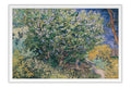 Poster Van Gogh - Obras de Arte