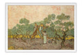 Poster Van Gogh - Obras de Arte