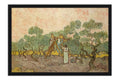 Poster Van Gogh - Obras de Arte