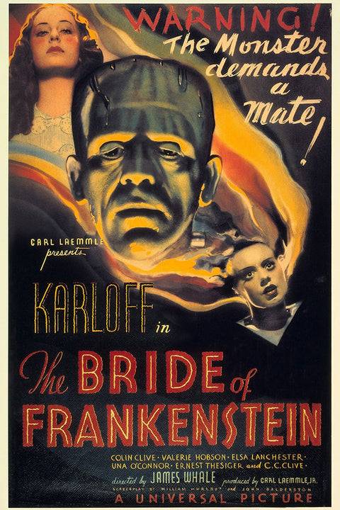 Poster A Noiva Do Frankenstein - Frankenstein’s Bride - Terror - Filmes
