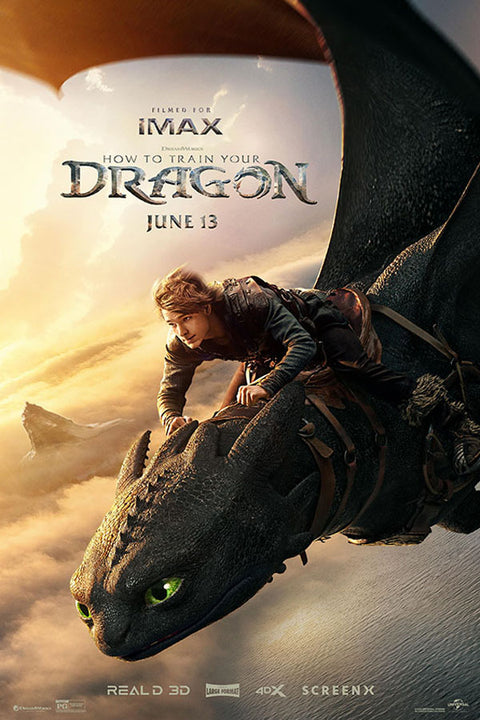 Poster  Como Treinar Seu Dragão - How To Train Your Dragon - Live Action - Infantil - Filmes
