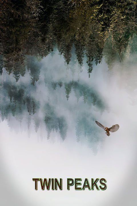 Poster  Twin Peaks - Filmes