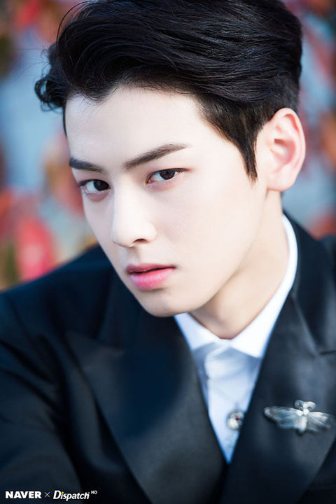 Poster Cha Eun-Woo - Bts - Cantor