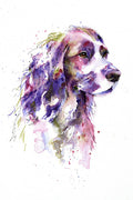 Poster Cachorro - Coleção Colors - Animais 