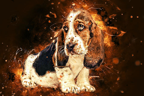 Poster Cachorro - Coleção Colors - Animais 