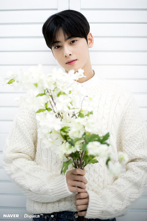 Poster Cha Eun-Woo - BTS - Cantor - K-Pop