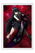 Poster Akame Ga Kill - Animes