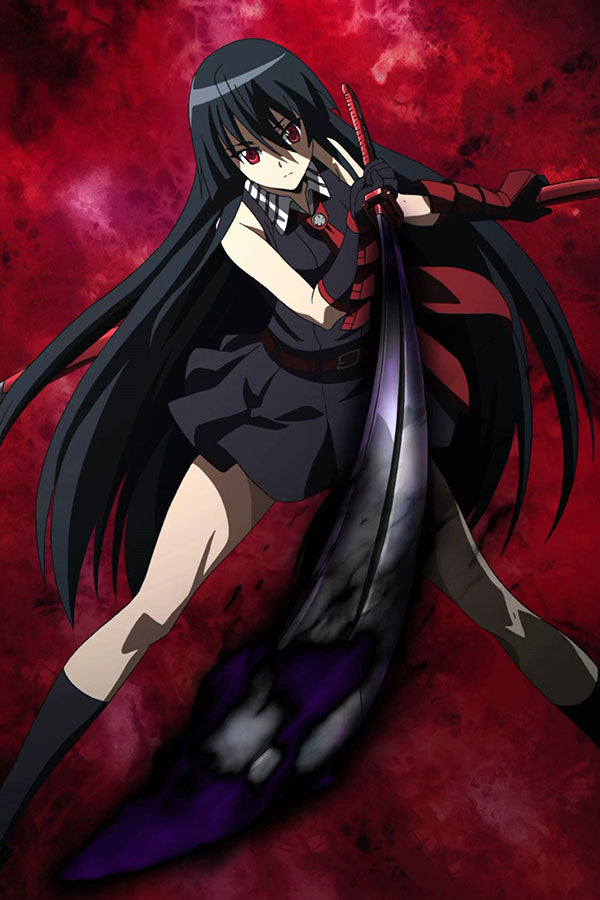 Poster Akame Ga Kill - Animes