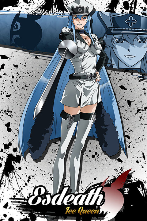 Poster Akame Ga Kill - Animes