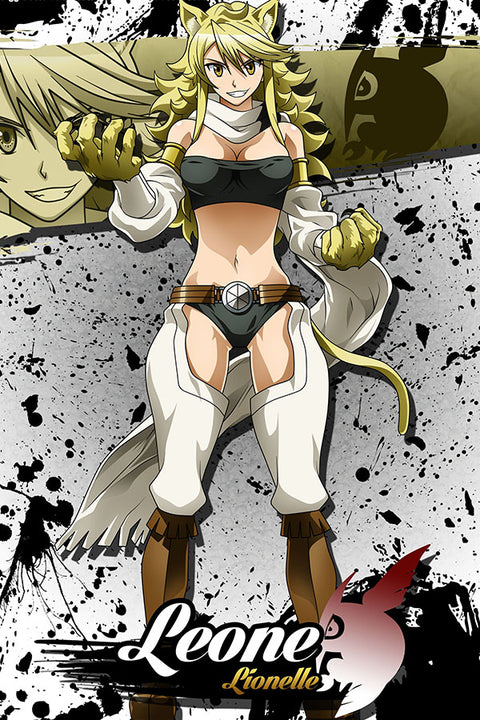 Poster Akame Ga Kill - Animes