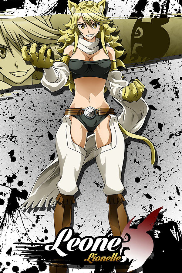 Poster Akame Ga Kill - Animes