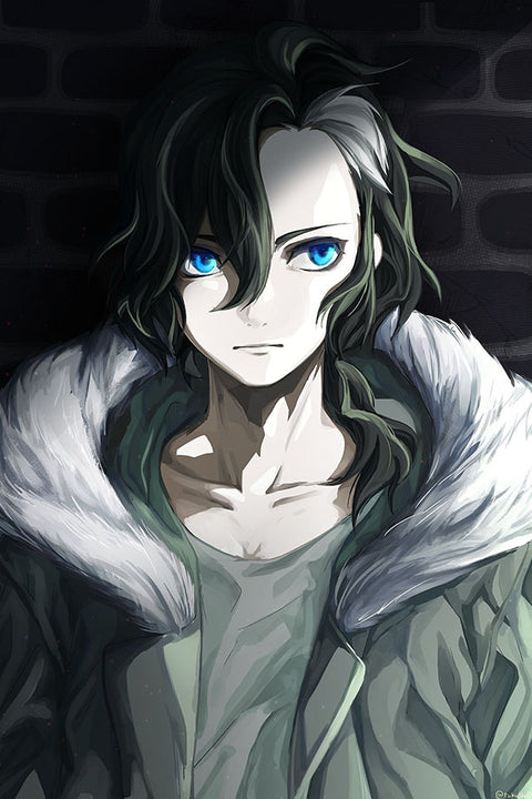 Poster Sirius The Jaeger - Animes