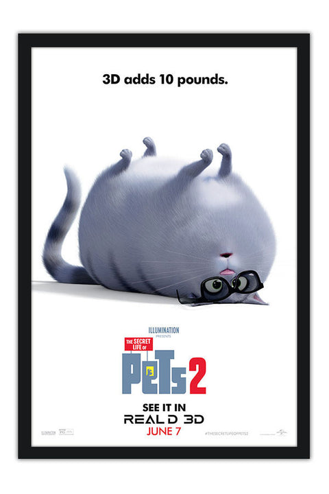 Poster Pets - Vida Secreta Dos Bichos - Filmes - Infantis