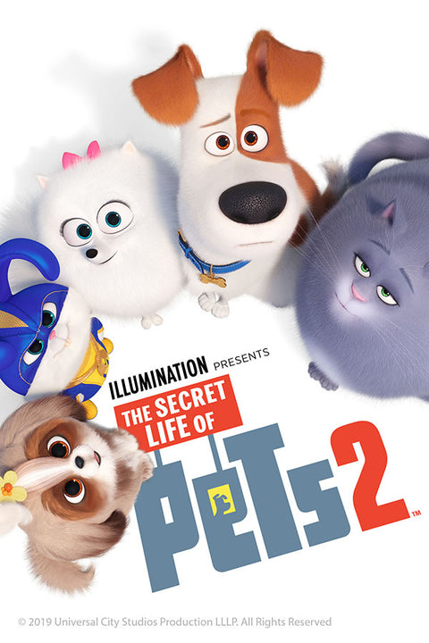 Poster Pets - Vida Secreta Dos Bichos - Filmes - Infantis