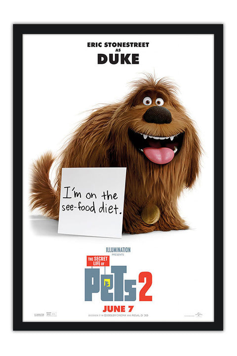 Poster Pets - Vida Secreta Dos Bichos - Filmes - Infantis