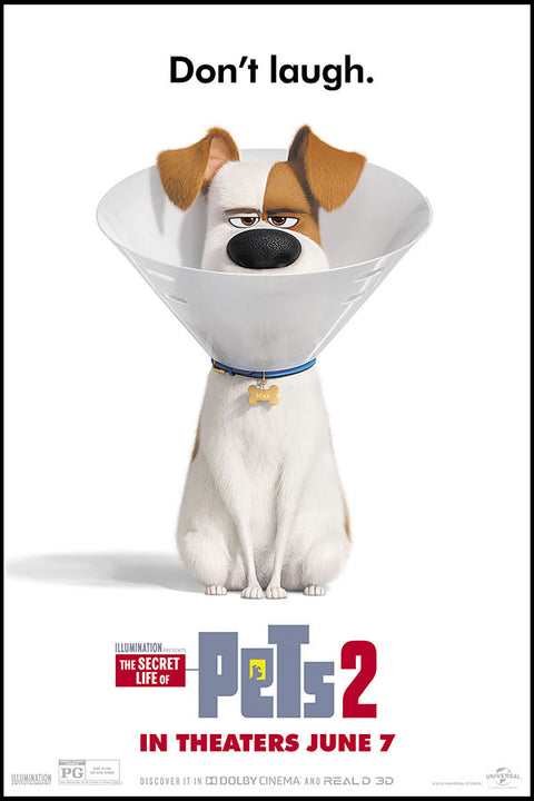 Poster Pets - Vida Secreta Dos Bichos - Filmes - Infantis