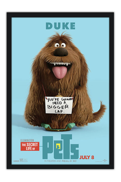 Poster Pets - Vida Secreta Dos Bichos - Filmes - Infantis