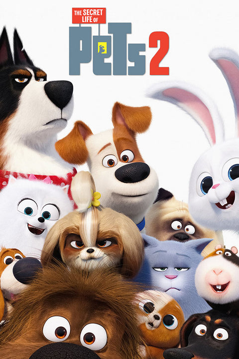 Poster Pets - Vida Secreta Dos Bichos - Filmes - Infantis