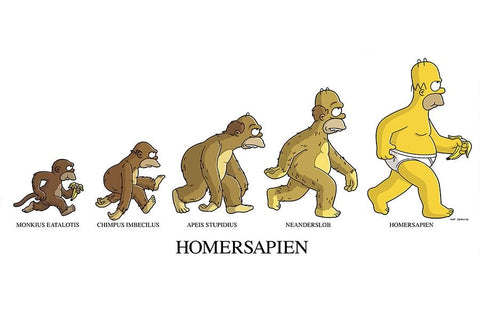 Poster Simpsons Homersapiens - Séries