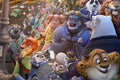 Poster Zootopia - Filmes - Infantis