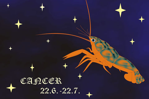 Poster Câncer - Zodíaco - Signos