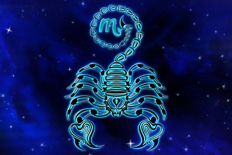 Poster Escorpião - Zodíaco - Signos
