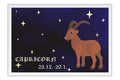 Poster Capricórnio - Zodíaco - Signos