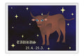 Poster Touro - Zodíaco - Signos