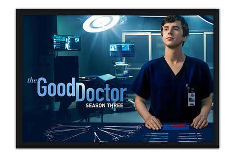 Poster The Good Doctor - Séries