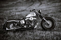 Poster Moto - Harley Davidson - Esportes