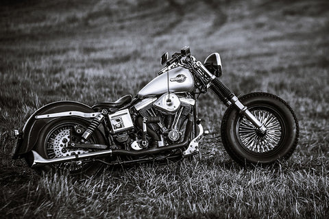 Poster Moto - Harley Davidson - Esportes