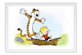 Poster Calvin E Haroldo