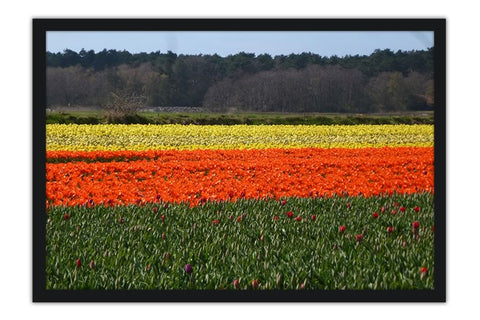Poster Andaluzia - Europa - Paisagens