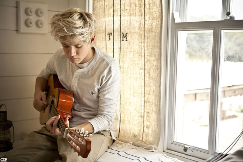 Poster Niall Horan - Former One Direction - 1D - Pop