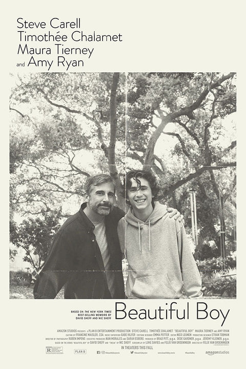 Poster Beautiful Boy - Querido Menino - Timothee Chalamet - Steve Carell - Filmes