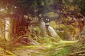 Poster Aion the Tower of Eternity - Games