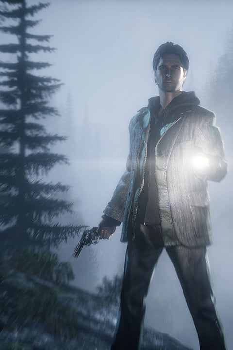 Poster Alan Wake - Games