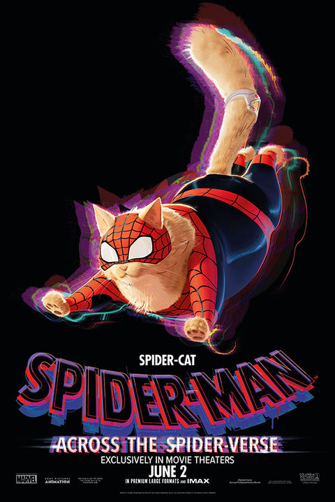 Poster Homem Aranha: Spider-Cat -  Atraves do Aranhaverso - Across the Spiderverse - Animação - Filmes