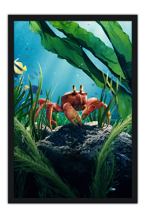 Poster Pequena Sereia - Little Mermaid - Disney - Filmes