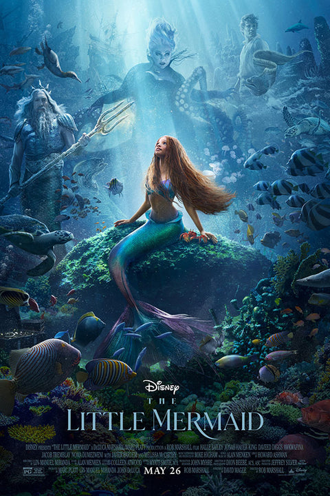 Poster Pequena Sereia - Little Mermaid - Disney - Filmes
