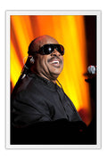 Poster Stevie Wonder - Artistas Pop