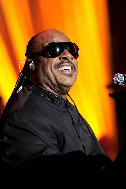 Poster Stevie Wonder - Artistas Pop