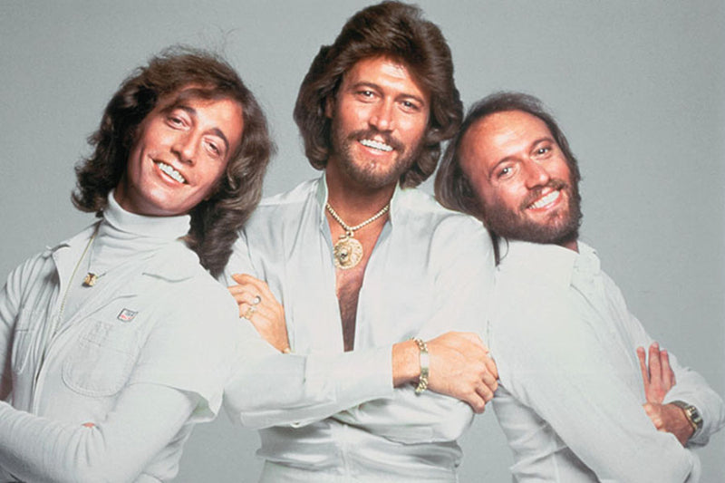 Poster Bee Gees - Disco - Artistas Pop
